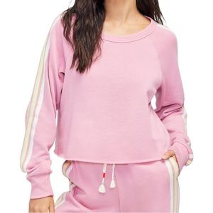 Wildfox Homestead Stripes World Tour Crop Top in Pink NWT size M